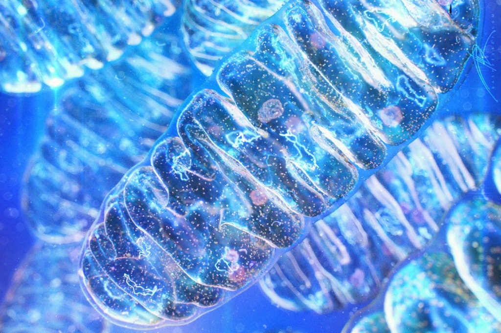 Gene therapy hope for dry AMD