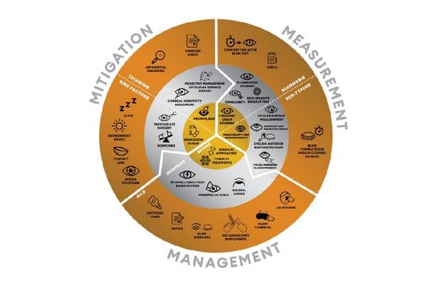 A circular diagram illustrating the Dry Eye Wheel, divided into Mitigation, Measurement, and Management sections.