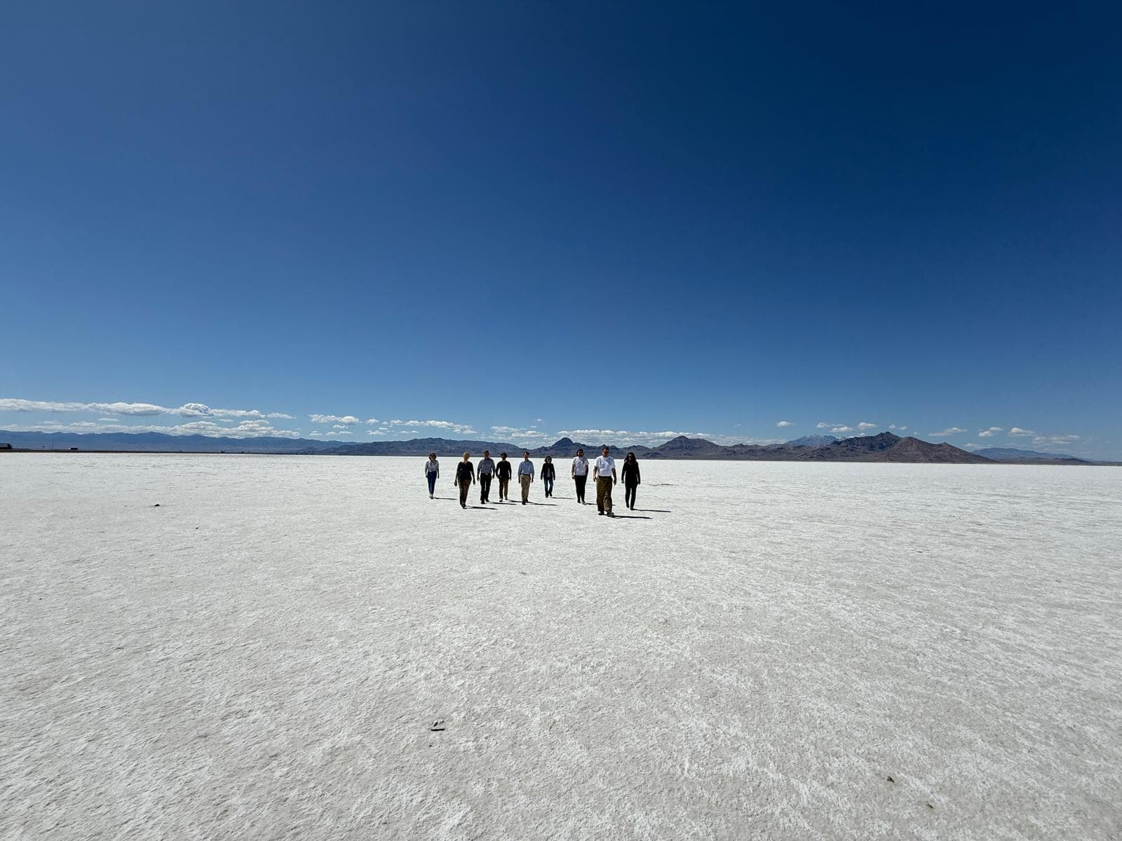 ARVO Salt Flats