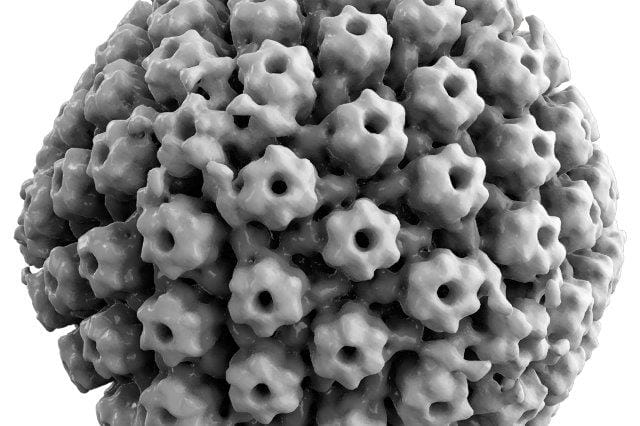 Herpes reinfection mechanism identified