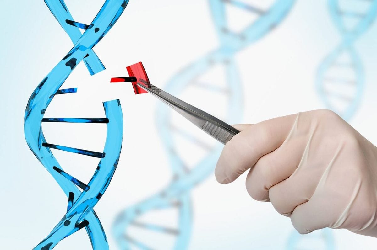genetic engineering