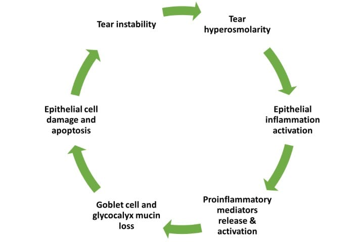 Inflammasomes and DED