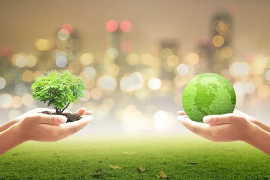 Embarking on an ambitious sustainability journey