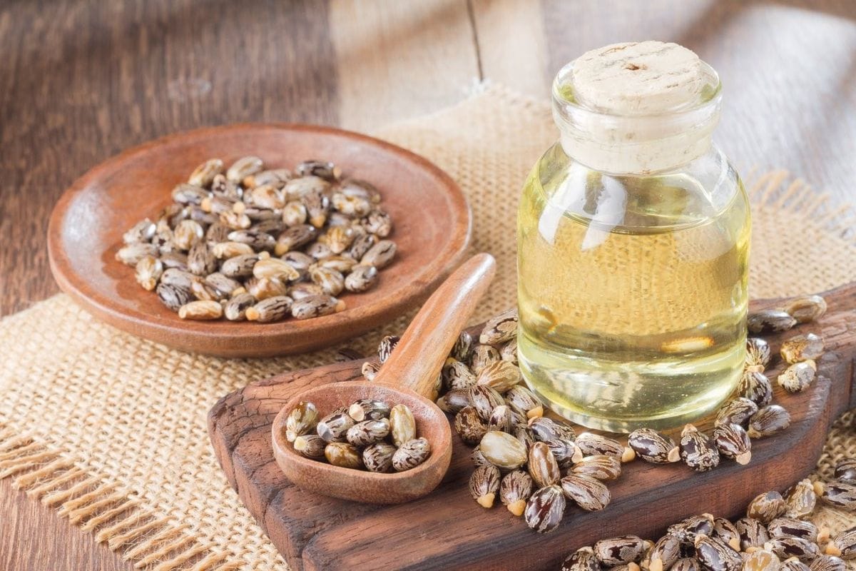 wskgqwhn castor oil and seeds pic