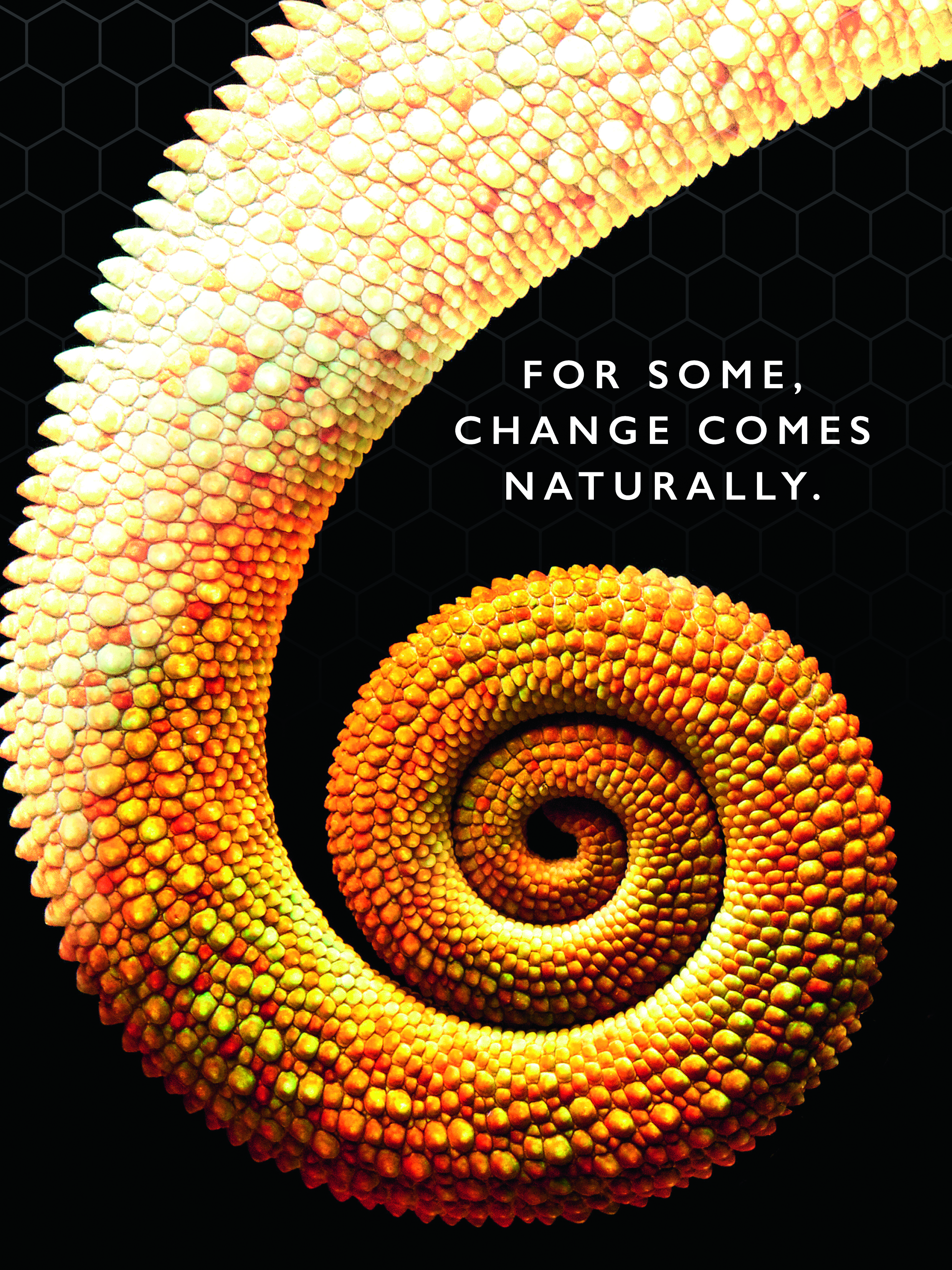 The Chameleon Effect by Joe Arden The Chameleon Effect by Joe Arden