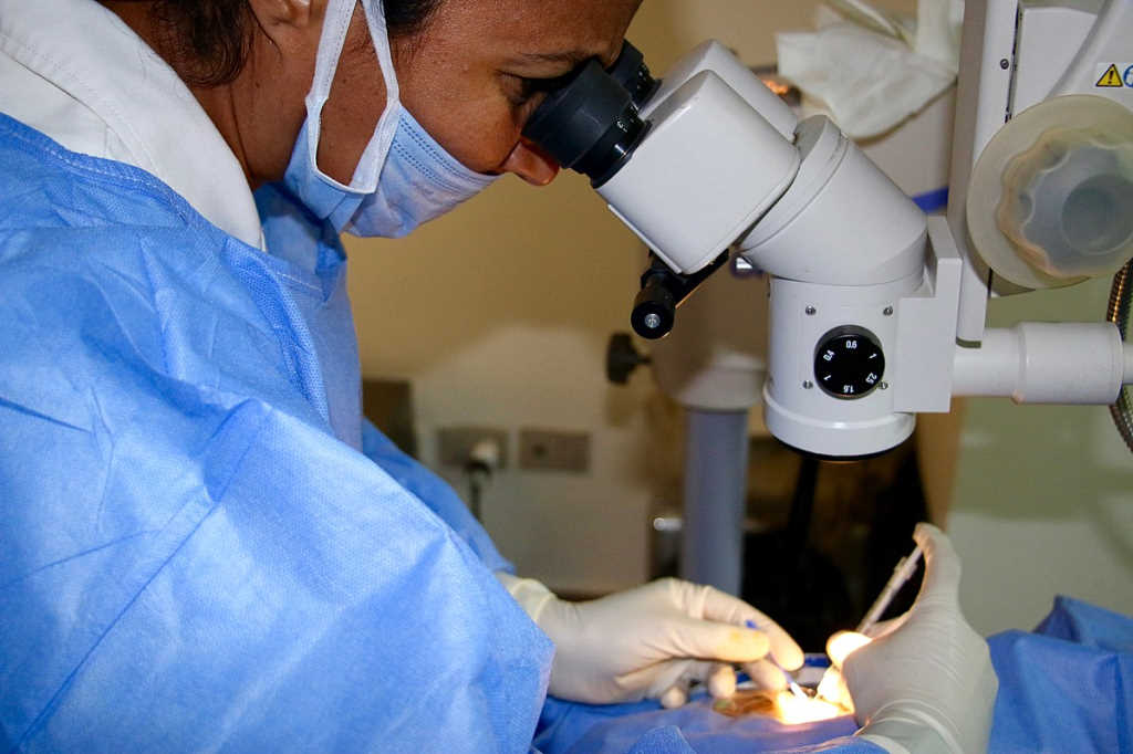 IVT increases surgical risk